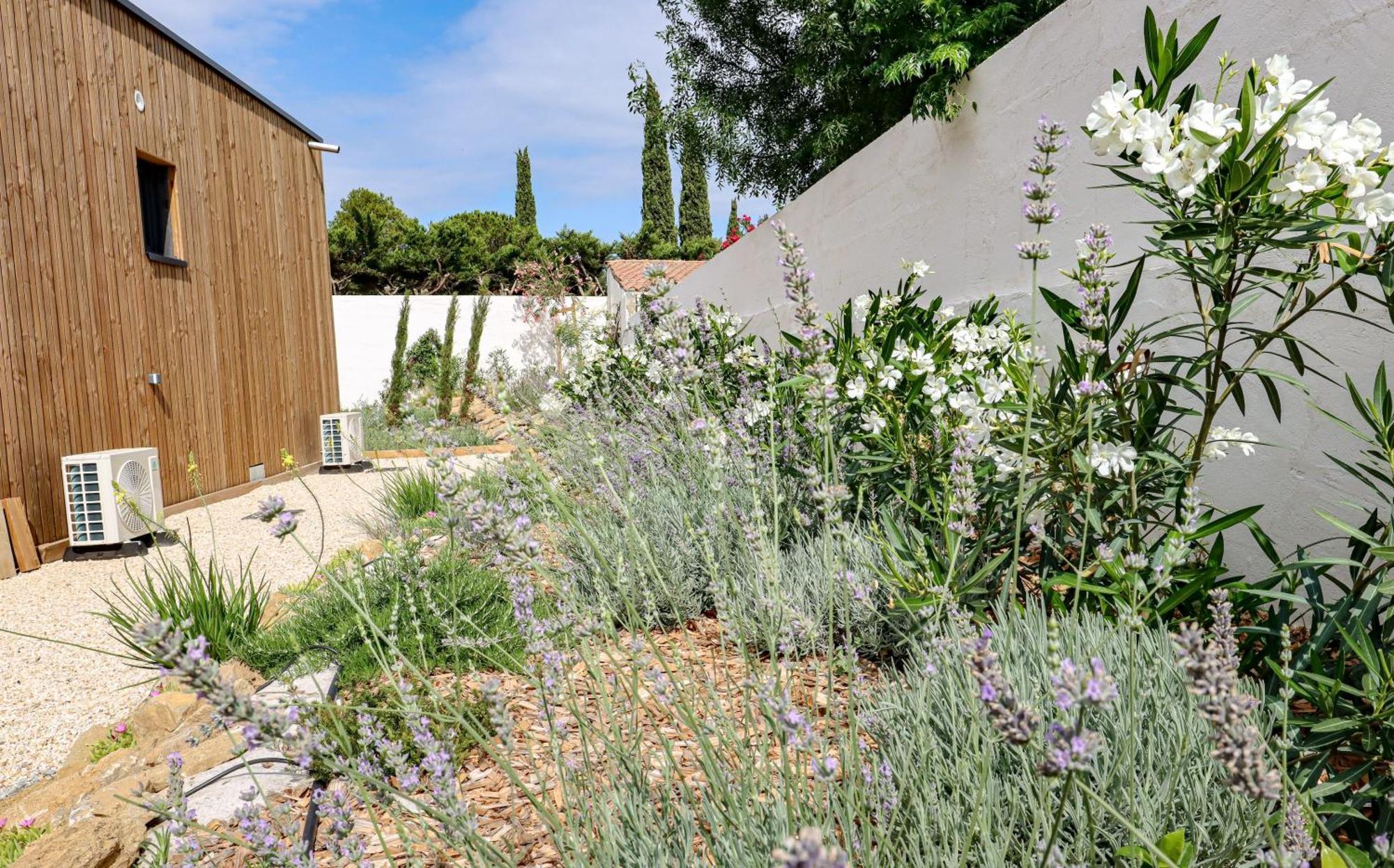 Les Gites De Laure - L'Eden Romantique, Chambres Hotes, Spa Prive, Couloir De Nage, Adults Only Malves-en-Minervois Εξωτερικό φωτογραφία